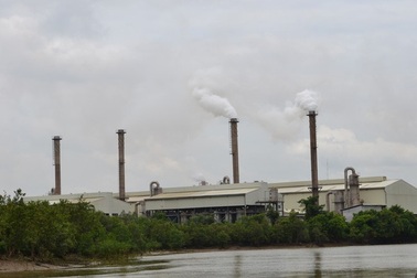 Bộ Công Thương tiếp tục xin cho Vedan nhập khẩu than