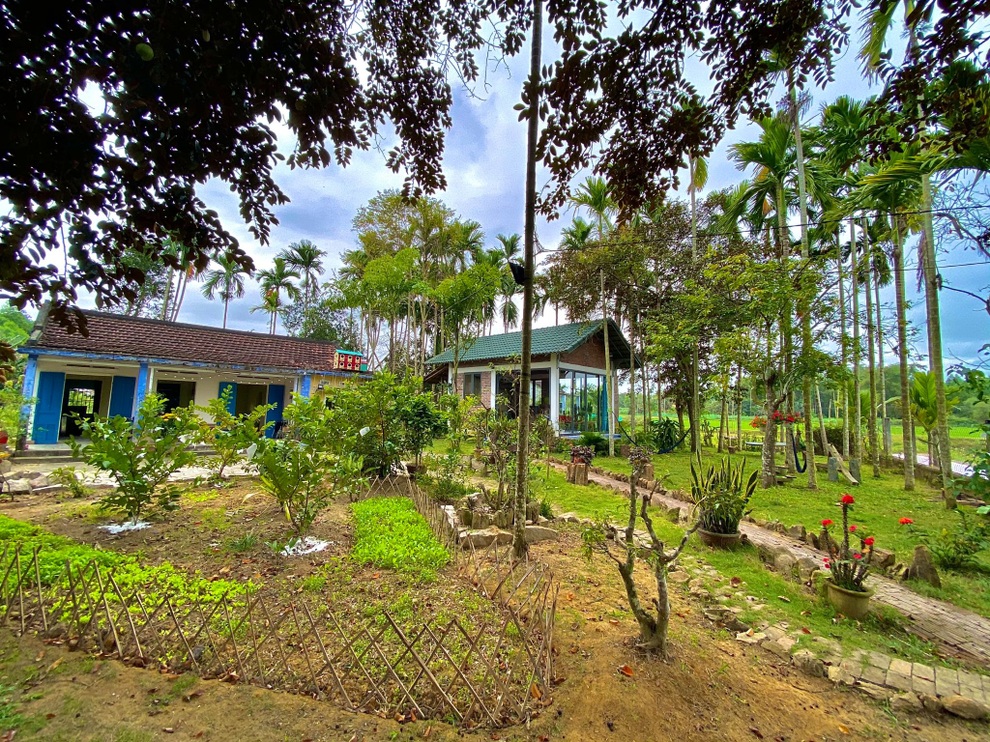 Ngôi nhà xanh mát với ao bạt ngàn sen của chàng kỹ sư - 1