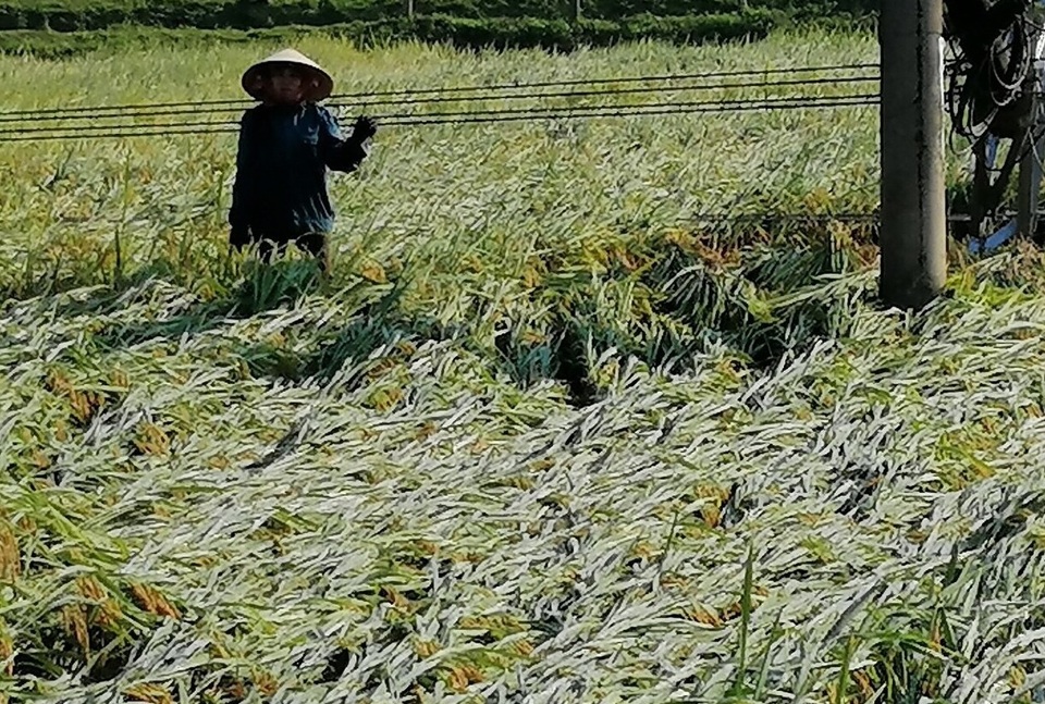 15 phút lốc xoáy thổi bay 10 tỷ đồng - 14 15 phút lốc xoáy thổi bay 10 tỷ đồng - 14