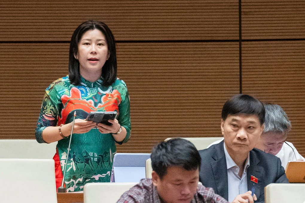 Đại biểu Quốc hội: Nhiều doanh nghiệp vẫn rất khó tiếp cận nguồn vốn xanh - 1 Đại biểu Quốc hội: Nhiều doanh nghiệp vẫn rất khó tiếp cận nguồn vốn xanh - 1