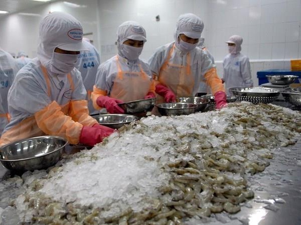 Vì sao Trung Quốc tăng cường kiểm soát hàng thủy sản đông lạnh nhập khẩu? - 1 Vì sao Trung Quốc tăng cường kiểm soát hàng thủy sản đông lạnh nhập khẩu? - 1