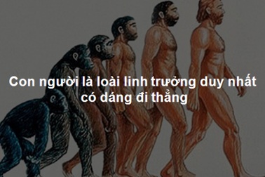 Những bí ẩn thú vị về cơ thể con người