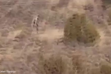 Sinh vật giống người bí ẩn đi giữa sa mạc vắng