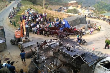 Xe chở trâu lật dốc, chủ trâu tử vong, nhà xe trọng thương