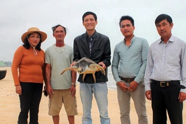 Ngư dân tự nguyện giao nộp rùa để thả về môi trường biển