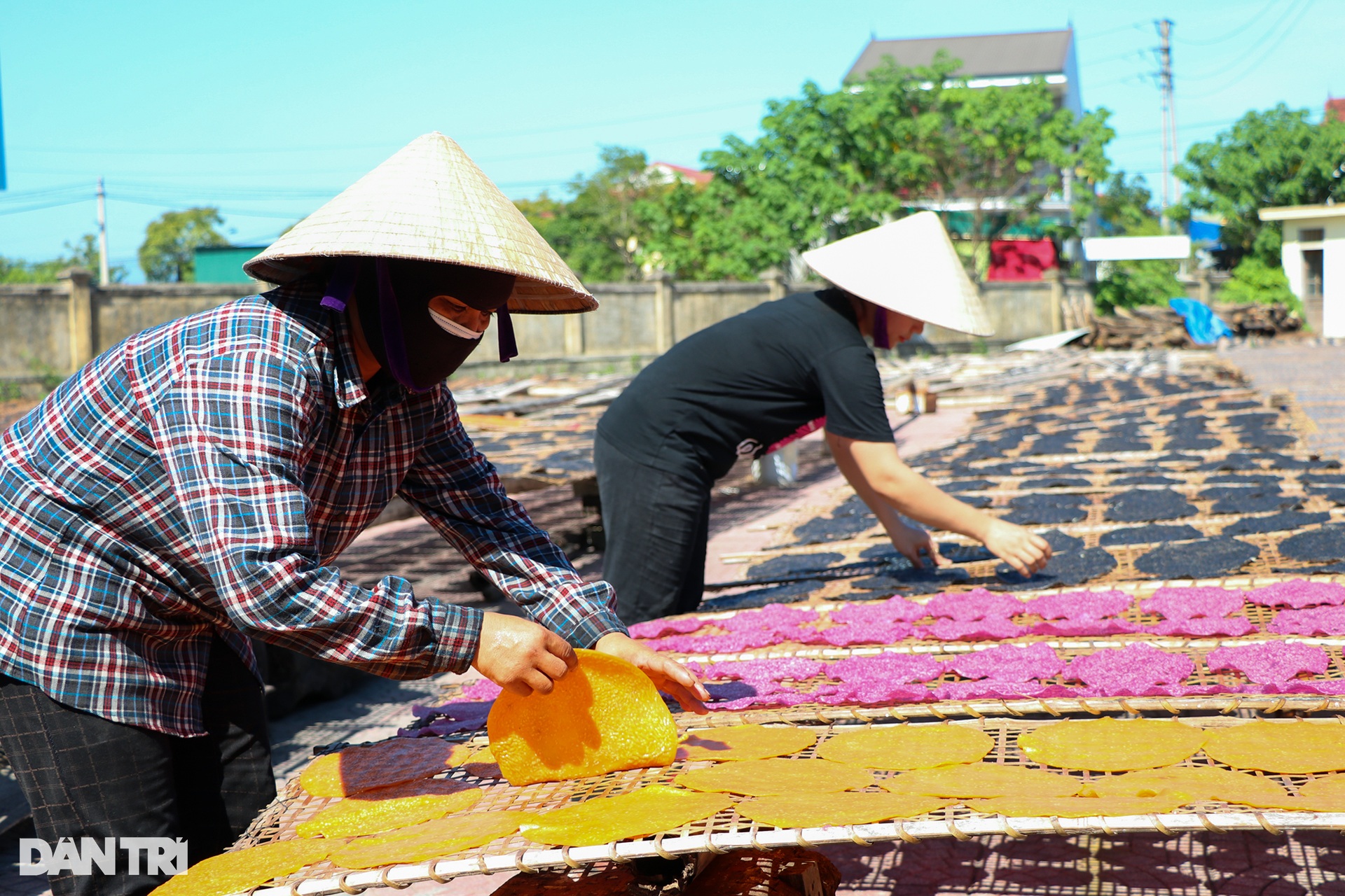 A place where women cook and dry in the sun to create a cake that brings in 4.5 billion VND per year - 8