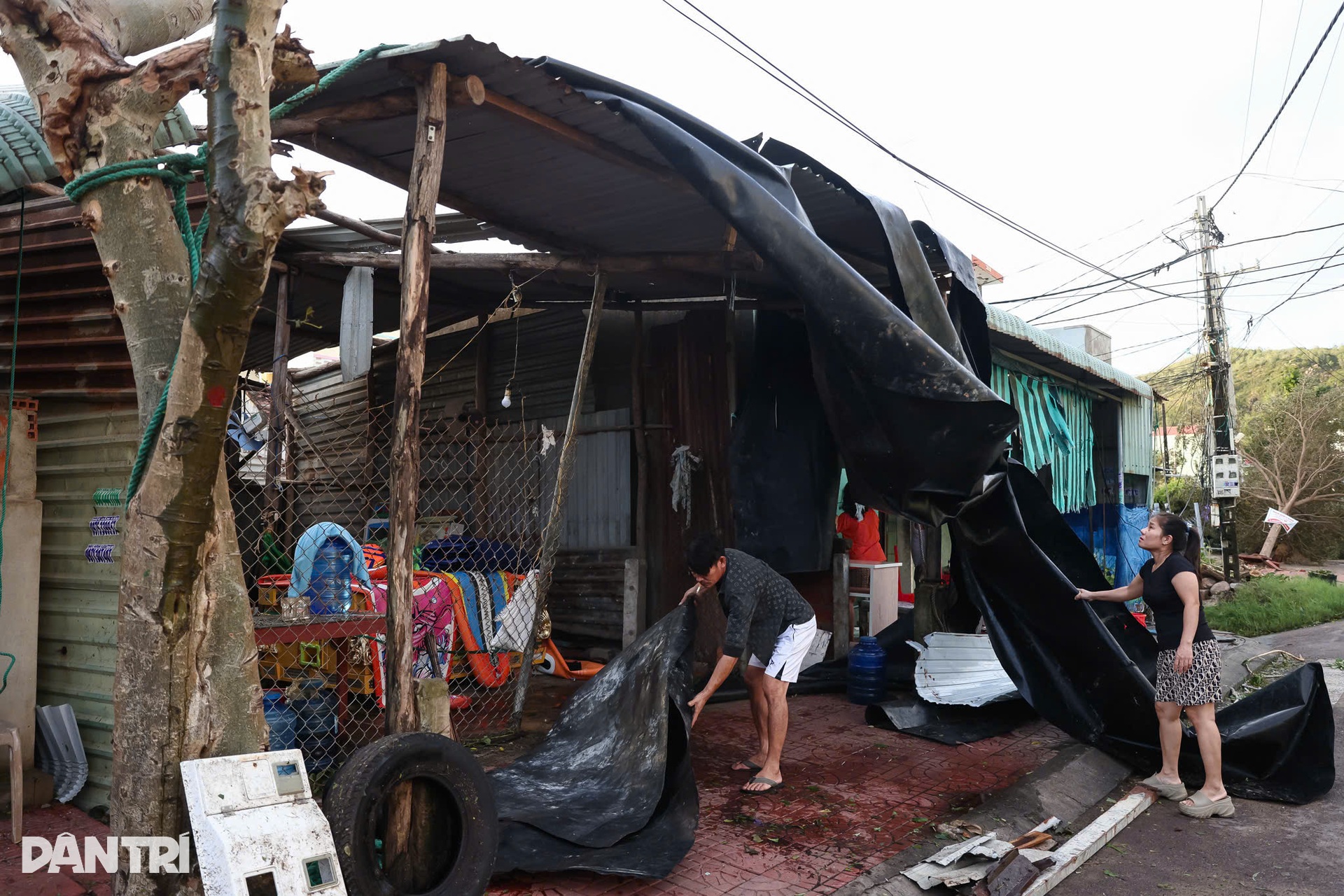 Miền Trung tan hoang sau bão Kalmaegi: Một đêm gió cuốn, làng chài đổ nát - 13 Miền Trung tan hoang sau bão Kalmaegi: Một đêm gió cuốn, làng chài đổ nát - 13