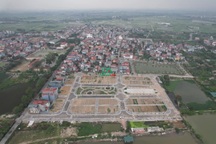 Hà Nội: Bất ngờ dừng tổ chức đấu giá 44 lô đất ở Đông Anh