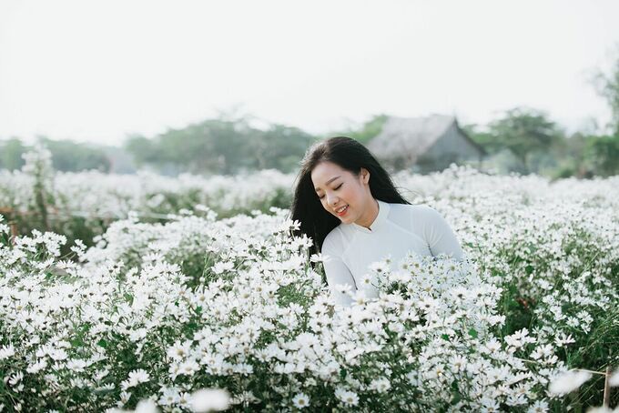 Hà Nội: Họa mi về phố - Ảnh 1. Hà Nội: Họa mi về phố - Ảnh 1.
