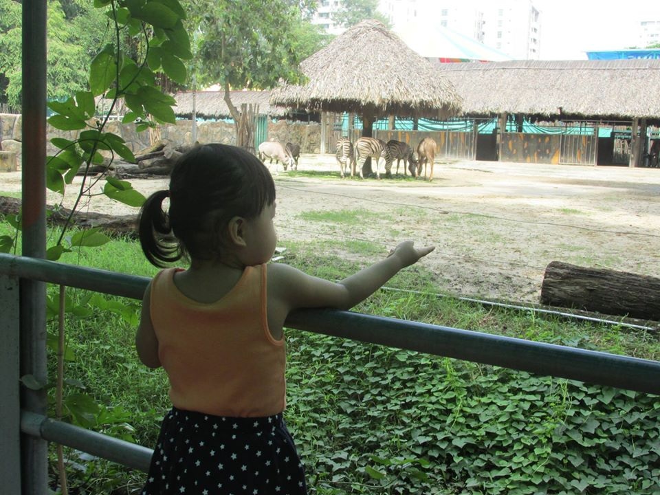 Vườn thú lâu đời nhất Việt Nam đóng cửa tránh dịch bệnh Covid-19 - 2