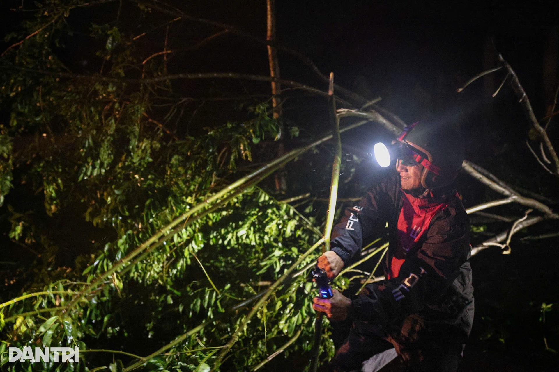 Bão Kalmaegi tàn phá Gia Lai: Làng chài tan hoang, nhiều nhà sập đổ - 4 Bão Kalmaegi tàn phá Gia Lai: Làng chài tan hoang, nhiều nhà sập đổ - 4