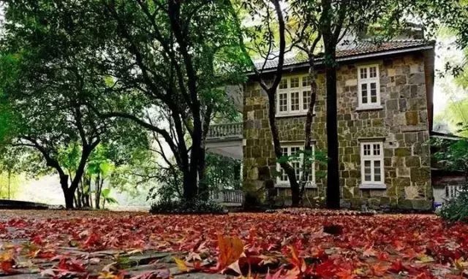 Người đàn ông biến ngôi nhà ma ám bỏ hoang thành dinh thự như tranh vẽ - 10 Người đàn ông biến ngôi nhà ma ám bỏ hoang thành dinh thự như tranh vẽ - 10