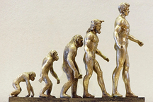 Vì sao con người không có đuôi?