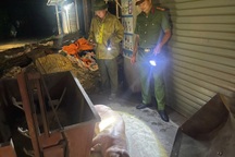 Hai đối tượng chở đàn lợn nhiễm dịch tả lợn châu Phi đi tiêu thụ