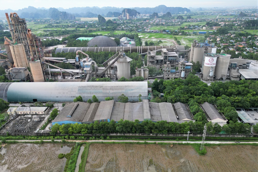 Ninh Bình cắt 38ha rừng tự nhiên cho doanh nghiệp sản xuất xi măng - 3 Ninh Bình cắt 38ha rừng tự nhiên cho doanh nghiệp sản xuất xi măng - 3