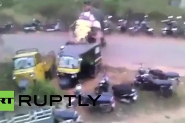 Voi nổi điên đập nát xe máy, ô tô