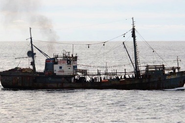 “Canh bạc” đánh bắt xa bờ của tàu cá Triều Tiên vì Trung Quốc cạnh tranh ngư trường