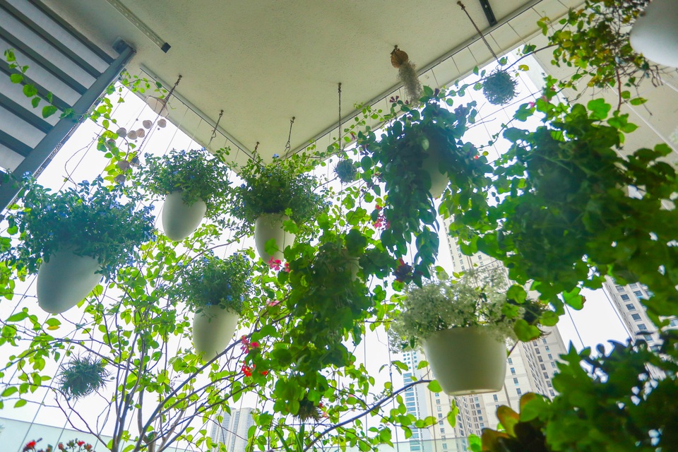 Ngôi nhà với ban công đẹp như cổ tích của nữ nhà báo điều tra nổi tiếng VTV - 6 Ngôi nhà với ban công đẹp như cổ tích của nữ nhà báo điều tra nổi tiếng VTV - 6