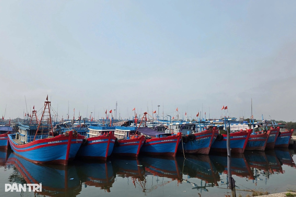 Thanh Hóa và Nghệ An cấm biển, Ninh Bình tính phương án di dân chung cư cũ - 1 Thanh Hóa và Nghệ An cấm biển, Ninh Bình tính phương án di dân chung cư cũ - 1