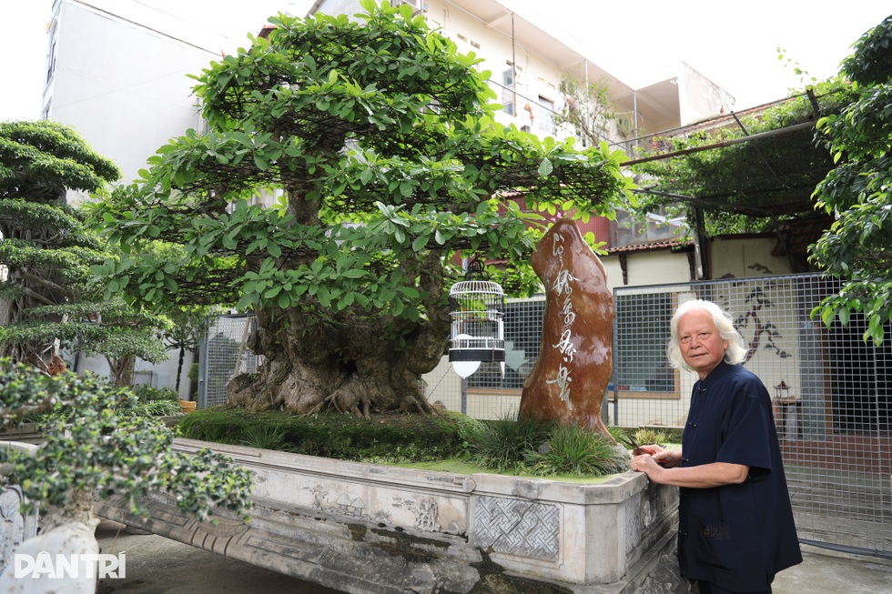 Hà Nội: Bỏ việc về làm vườn, người đàn ông sở hữu nhiều cây độc lạ