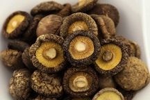 Nấm hương khô nên sử dụng trong thời gian bao lâu?