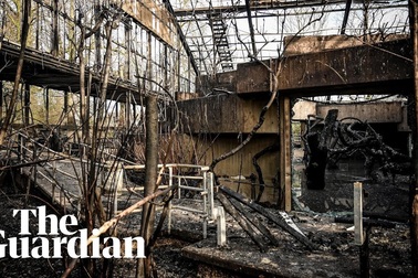 Mẹ và hai con gái trình diện cảnh sát vì thả đèn trời gây hỏa hoạn nghiêm trọng