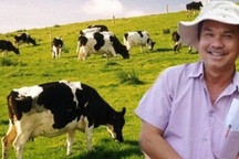 Lợi nhuận Hoàng Anh Gia Lai "bốc hơi" 70% trong quý I