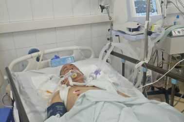 Thương cảnh cha già bất lực cầu xin sự sống cho con trai