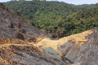 Đình chỉ 4 cán bộ kiểm lâm để mất hàng chục hecta rừng