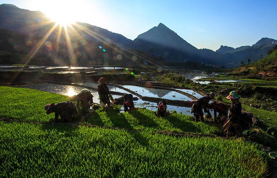 Miền Bắc mưa giông, giảm nhiệt sau những ngày nắng nóng đỉnh điểm - 2 Miền Bắc mưa giông, giảm nhiệt sau những ngày nắng nóng đỉnh điểm - 2