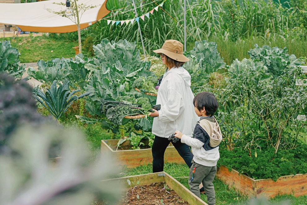 Gia đình Sài Gòn bỏ phố về rừng, biến đồi trọc thành trang trại trong mơ - 6