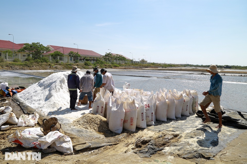 Nghề bán mặt cho đất, bán lưng cho trời của người dân Cần Giờ - 1 Nghề bán mặt cho đất, bán lưng cho trời của người dân Cần Giờ - 1