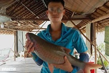 Mùa săn cá đặc sản trên sông Lam