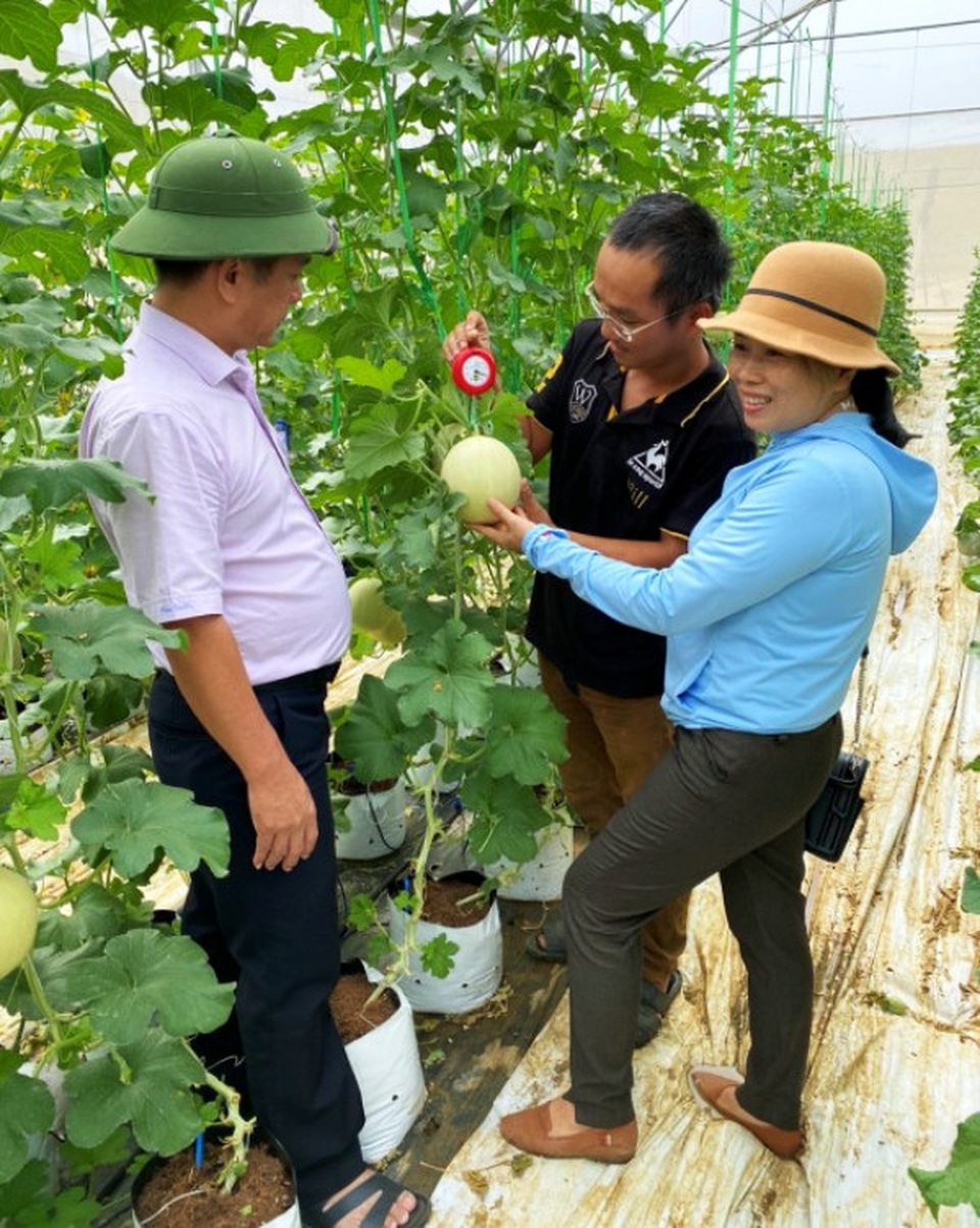 Bỏ việc về quê làm nông dân, chàng trai lãi ròng 500 triệu đồng/năm - 1 Bỏ việc về quê làm nông dân, chàng trai lãi ròng 500 triệu đồng/năm - 1