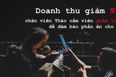 Doanh thu giảm 95%, nhân viên giảm lương để đảm bảo phần ăn cho thú