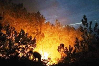 Cháy rừng thông giữa trưa, hàng trăm người đội nắng dập lửa