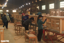 Hàng ngàn lao động mất việc vì loạt doanh nghiệp gỗ đóng cửa