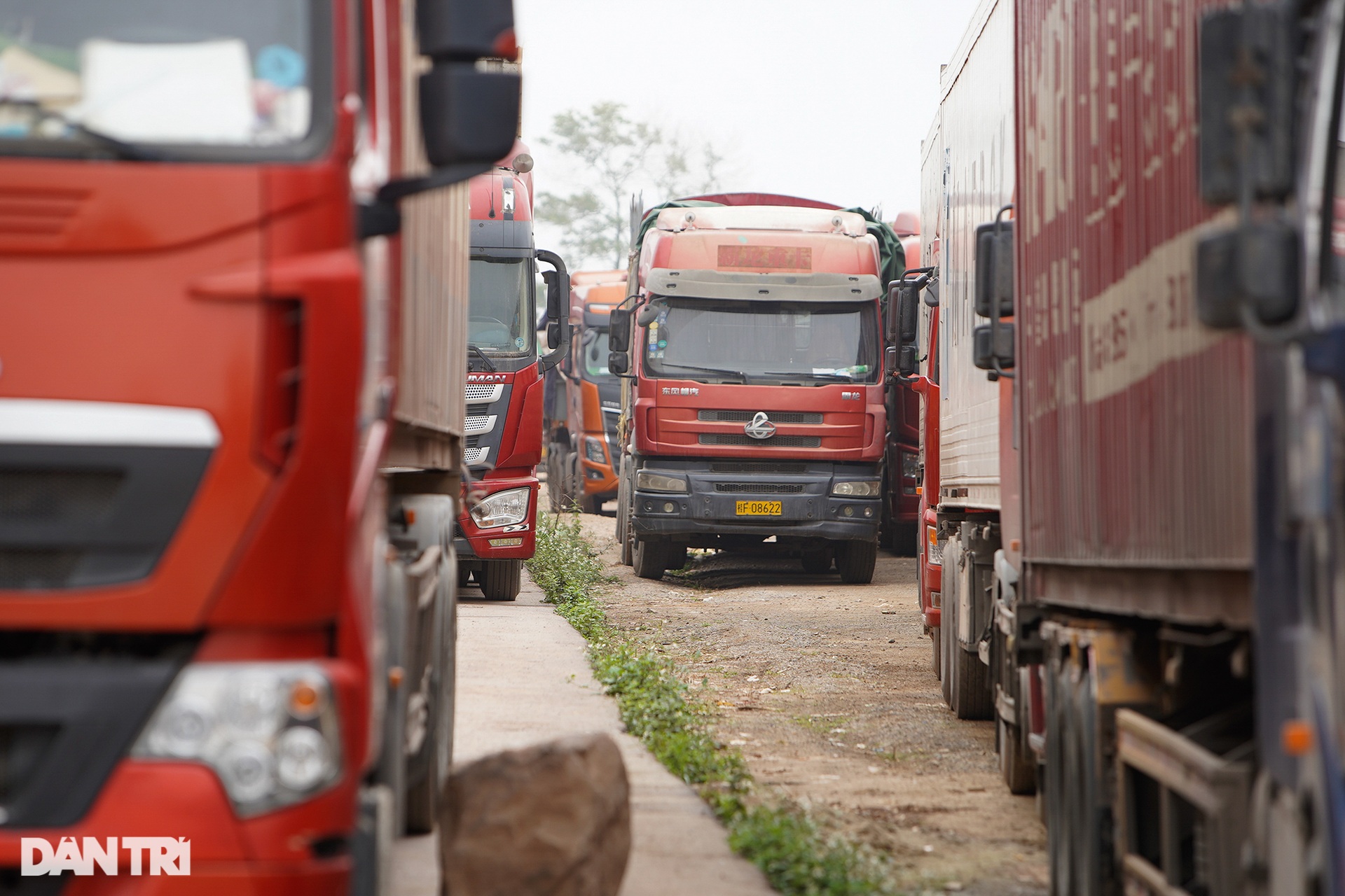 Hơn 1.400 container hàng hóa ùn tắc kỷ lục tại cửa khẩu Móng Cái dịp Tết - 4 Hơn 1.400 container hàng hóa ùn tắc kỷ lục tại cửa khẩu Móng Cái dịp Tết - 4