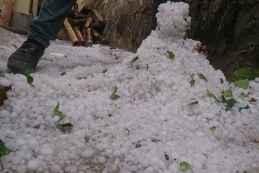 Mưa đá bằng quả chanh đổ xuống Tủa Chùa, Điện Biên