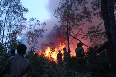 “Giặc lửa” thiêu rụi hơn 50ha rừng