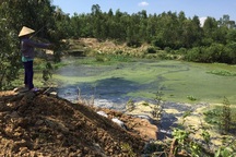 Vụ nước đổi màu, cá chết trắng: Tại nước thải bãi rác?