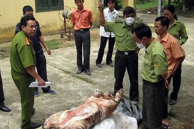 Hà Nội yêu cầu cán bộ không nhận quà biếu là động vật hoang dã