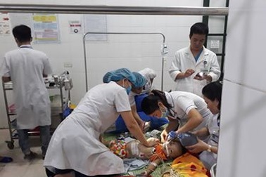 Chó béc-giê sổng chuồng cắn chết cháu bé 22 tháng tuổi