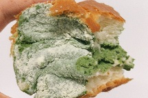 Chiếc bánh mì "mốc meo xanh rờn" có gì khiến cư dân mạng tranh nhau mua?