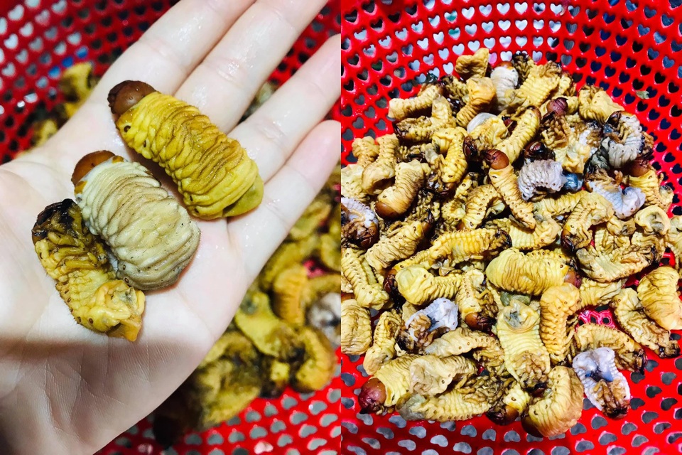 Loạt đặc sản con nhung nhúc, béo tròn, khách vừa ăn vừa sợ - 8