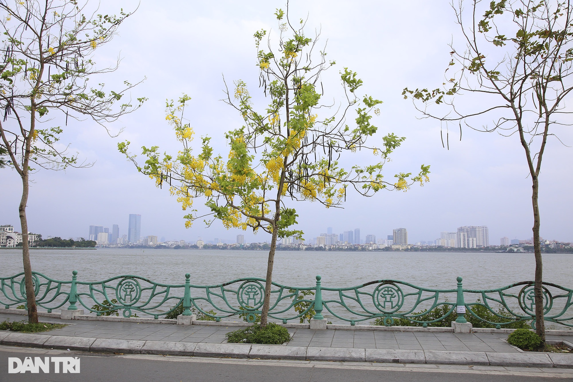Hà Nội rực rỡ trong mùa hoa tháng 5 - 12 Hà Nội rực rỡ trong mùa hoa tháng 5 - 12