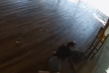 Clip "chàng trai đang nằm giữa nhà bị rắn bò lên người" nổi bật tuần qua