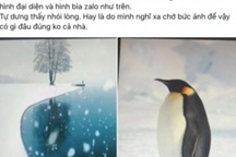 Nghẹn lòng ảnh đại diện lạnh lẽo của đứa bé "mẹ lấy chồng, có thêm em"