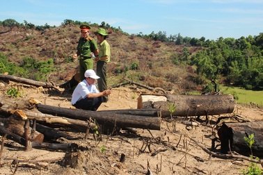 Phát hiện thêm vụ phá rừng quy mô lớn ở Bình Định