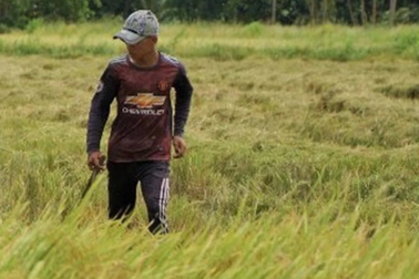 Ngân sách trông chờ xổ số và "vòng xoáy" kéo khu vực ĐBSCL đi xuống